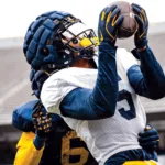 Bray, Woods looking to juke injuries